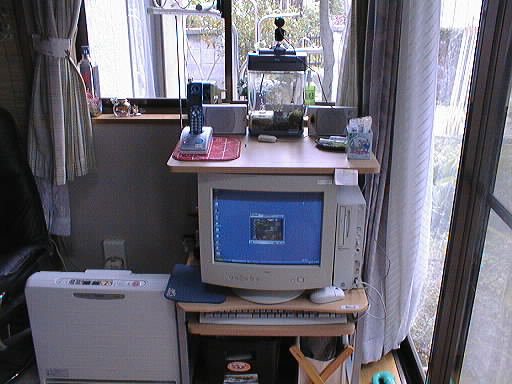 妻のPC!休日の昼は外を、それ以外の夜はコッピー水槽を写します。
